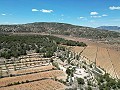 Einzigartige spanische Finca mit hervorragendem Potenzial in Pinoso in Spanish Fincas