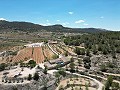 Finca española única con excelente potencial en Pinoso in Spanish Fincas