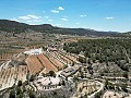 Einzigartige spanische Finca mit hervorragendem Potenzial in Pinoso in Spanish Fincas