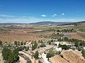 Unique Spanish Finca with excellent potential in Pinoso in Spanish Fincas