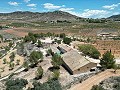 Unique Spanish Finca with excellent potential in Pinoso in Spanish Fincas