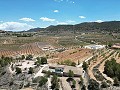 Unique Spanish Finca with excellent potential in Pinoso in Spanish Fincas