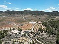 Einzigartige spanische Finca mit hervorragendem Potenzial in Pinoso in Spanish Fincas