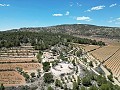 Unique Spanish Finca with excellent potential in Pinoso in Spanish Fincas