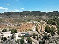 Einzigartige spanische Finca mit hervorragendem Potenzial in Pinoso in Spanish Fincas