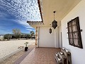 Beautiful villa with pool in Pinoso in Spanish Fincas