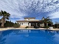 Beautiful villa with pool in Pinoso in Spanish Fincas