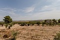 Impresionante Villa Independiente en Yecla con piscina y garaje in Spanish Fincas