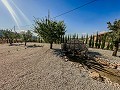 Superbes villas neuves avec terrain et piscine in Spanish Fincas