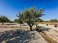 Atemberaubende Neubauvillen inklusive Grundstück und Pool in Spanish Fincas