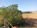 Casa de 4 habitaciones Yecla in Spanish Fincas