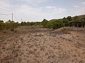 Maison de 5 chambres et 3 salles de bains à Yecla in Spanish Fincas