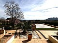 Villa avec 3 chambres, grande piscine et à pied de la ville in Spanish Fincas