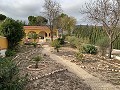 Villa avec 3 chambres, grande piscine et à pied de la ville in Spanish Fincas