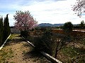 Villa avec 3 chambres, grande piscine et à pied de la ville in Spanish Fincas