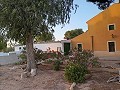 3 Bedroom Renovated house Yecla in Spanish Fincas