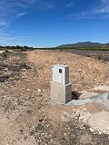 Terrain de 15 000 m2 à Pinoso avec électricité sur place et eau potable à proximité in Spanish Fincas