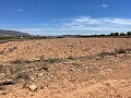 15,000m2 of land in Pinoso with electricity onsite and drinking water close in Spanish Fincas