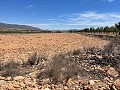 15.000m2 de terreno en Pinoso con luz en el lugar y agua potable cerca in Spanish Fincas