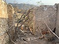 Rénovation d'une maison de ville avec jardin in Spanish Fincas