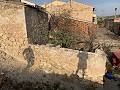 Rénovation d'une maison de ville avec jardin in Spanish Fincas