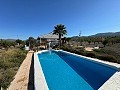 3 Bedroom Villa in Sax in Spanish Fincas