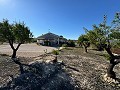 3 Schlafzimmer Villa in Sax in Spanish Fincas