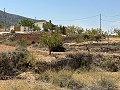 Belle maison de campagne de 3 chambres in Spanish Fincas