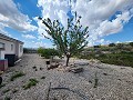 Maison de 3 chambres avec 15kw solaire avec de grandes pièces in Spanish Fincas