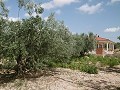 Grande villa à 4 km de Yecla in Spanish Fincas