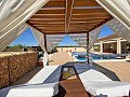 3 Bedroom 2 Bathroom Villa Pinoso in Spanish Fincas