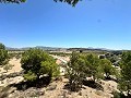 Landhaus mit Pool und unglaublicher Aussicht in Sax in Spanish Fincas