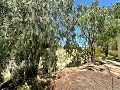 Landhaus mit Pool und unglaublicher Aussicht in Sax in Spanish Fincas