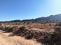 Superbe maison de campagne dans les montagnes de Yecla in Spanish Fincas