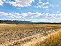 Maison de campagne magnifiquement préservée dans un superbe emplacement à Yecla in Spanish Fincas