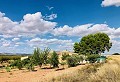 Prachtig bewaard gebleven landhuis op een prachtige locatie in Yecla in Spanish Fincas