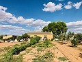 Casa de campo bellamente conservada en una impresionante ubicación en Yecla in Spanish Fincas