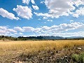 Maison de campagne magnifiquement préservée dans un superbe emplacement à Yecla in Spanish Fincas