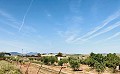 Maison de campagne à quelques pas de Pinoso in Spanish Fincas