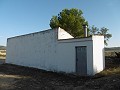 Renovation house Yecla in Spanish Fincas