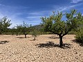 Prachtige vrijstaande villa met zwembad in Pinoso in Spanish Fincas