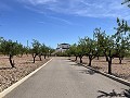 Stunning Detached Villa with Pool in Pinoso in Spanish Fincas