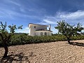 Impresionante villa independiente con piscina en Pinoso in Spanish Fincas