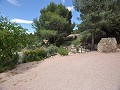 Maison en partie troglodyte modernisée dans les montagnes in Spanish Fincas