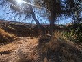 Casa cueva modernizada en las montañas in Spanish Fincas