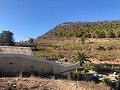 Modernised Part Cave House in the mountains in Spanish Fincas