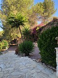 Maison en partie troglodyte modernisée dans les montagnes in Spanish Fincas