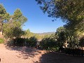 Casa cueva modernizada en las montañas in Spanish Fincas