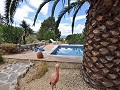 Maison en partie troglodyte modernisée dans les montagnes in Spanish Fincas