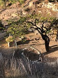 Maison en partie troglodyte modernisée dans les montagnes in Spanish Fincas